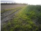 Silkwood QLD 4856