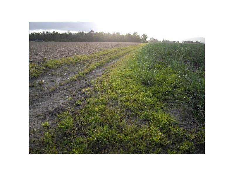 Silkwood QLD 4856
