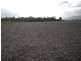 Silkwood QLD 4856