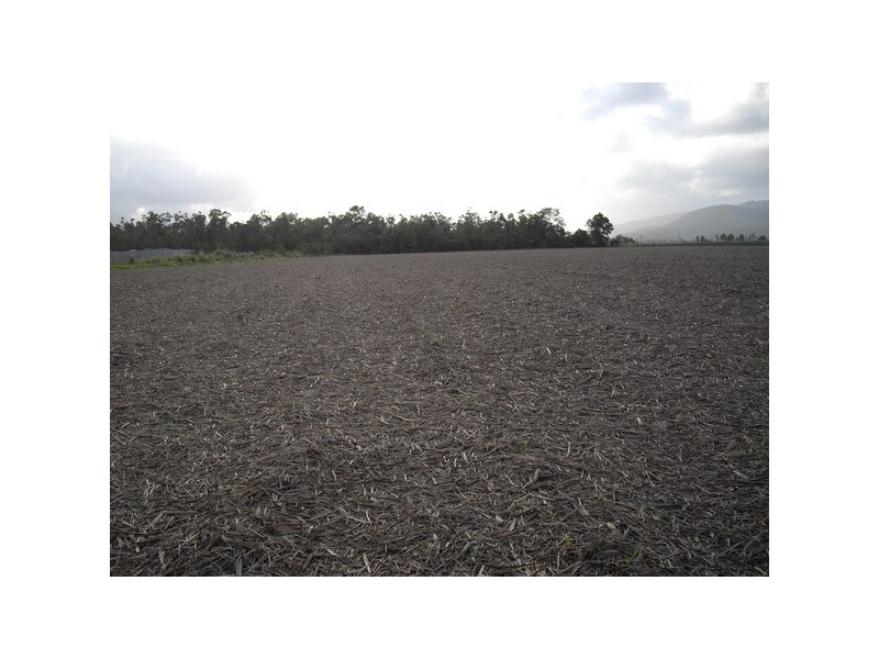 Silkwood QLD 4856