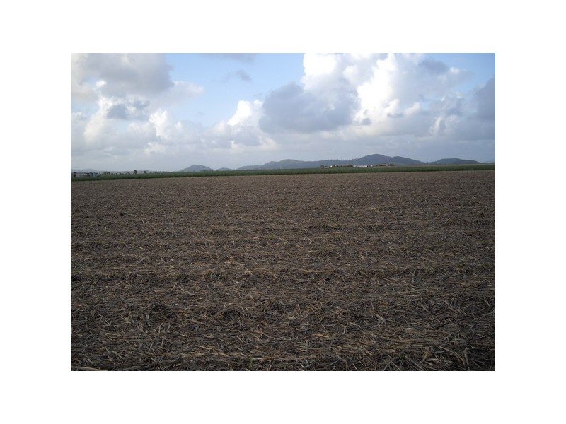 Silkwood QLD 4856