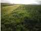 Silkwood QLD 4856