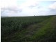 Silkwood QLD 4856