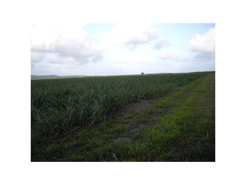 Silkwood QLD 4856
