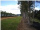 Babinda QLD 4861