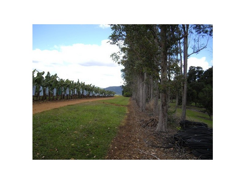 Babinda QLD 4861