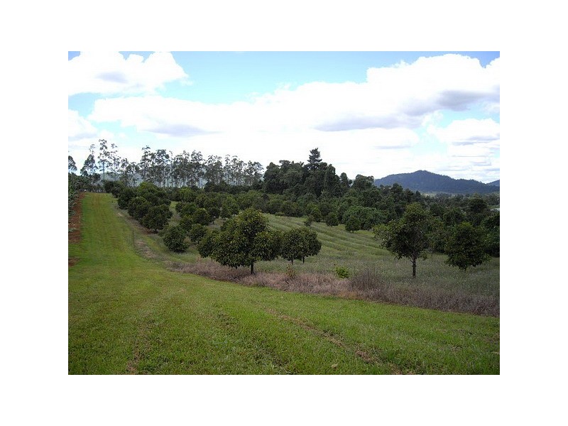 Babinda QLD 4861