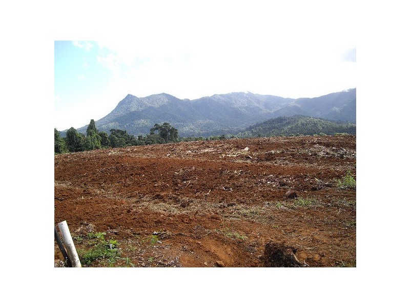 Babinda QLD 4861