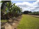Babinda QLD 4861