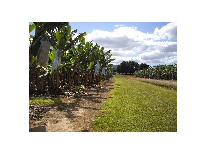 Babinda QLD 4861