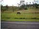 Innisfail QLD 4860