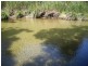 Gordonvale QLD 4865