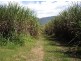Gordonvale QLD 4865