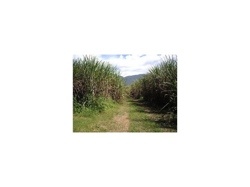 Gordonvale QLD 4865