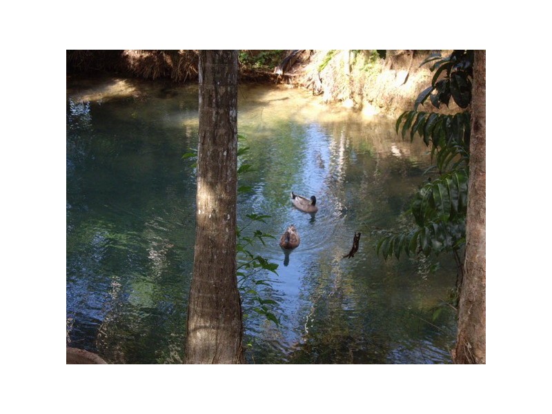 Innisfail QLD 4860