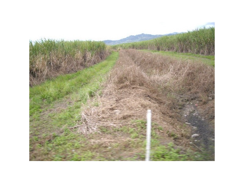 Babinda QLD 4861
