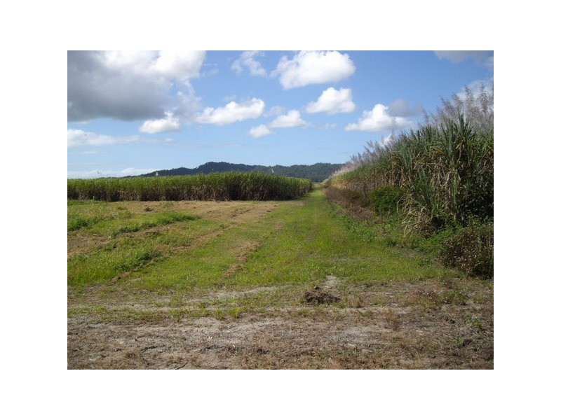 Babinda QLD 4861