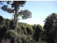 Innisfail QLD 4860