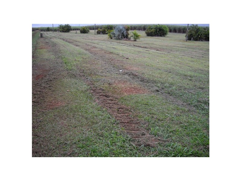 South Johnstone QLD 4859