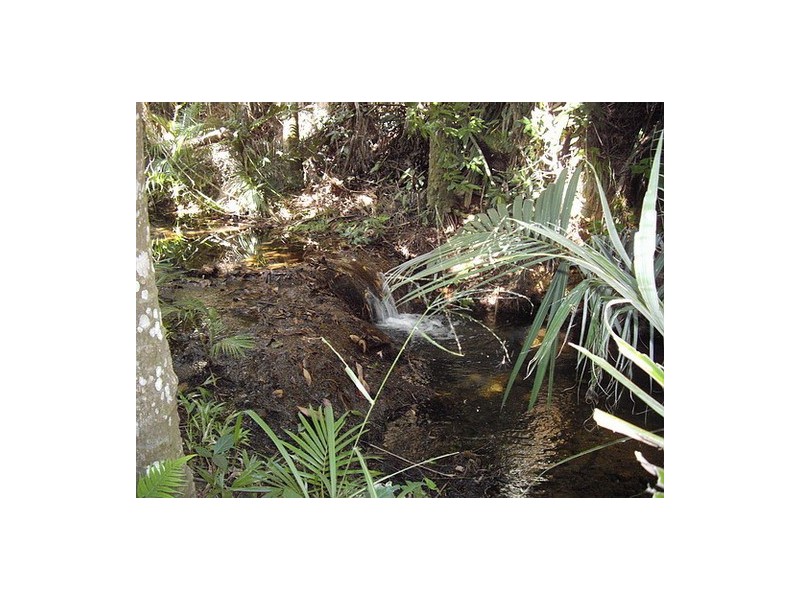 Mission Beach QLD 4852