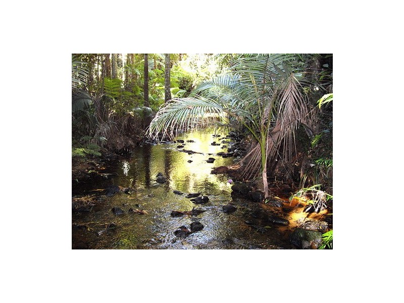 Mission Beach QLD 4852