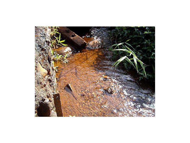 South Johnstone QLD 4859