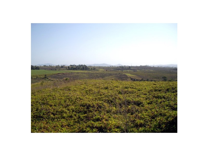 South Johnstone QLD 4859