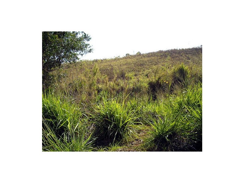 South Johnstone QLD 4859