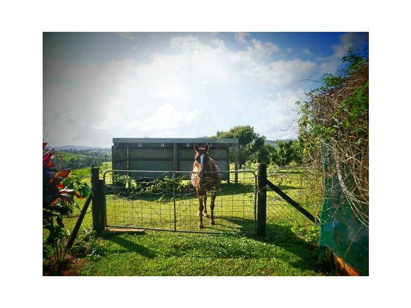 Innisfail QLD 4860