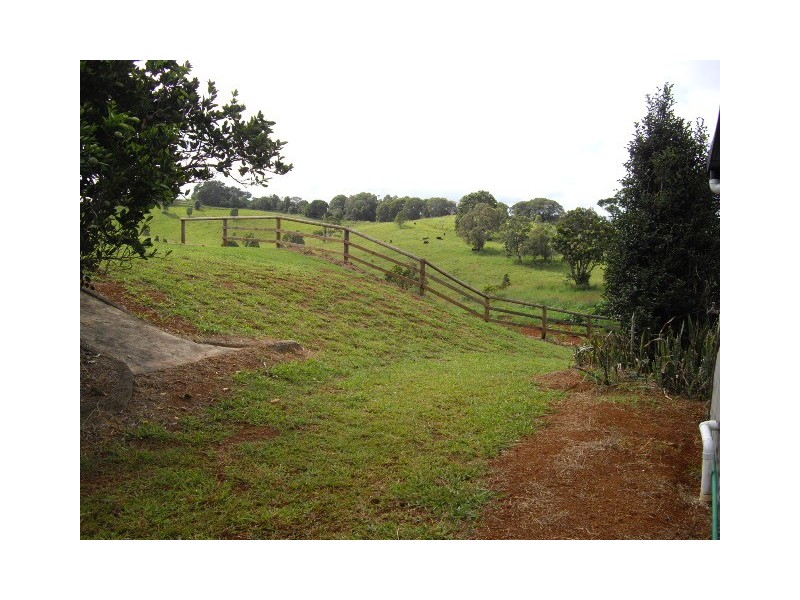 Millaa Millaa QLD 4886