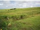 Innisfail QLD 4860