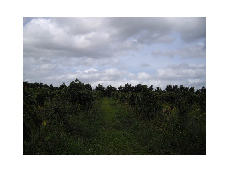 Innisfail QLD 4860