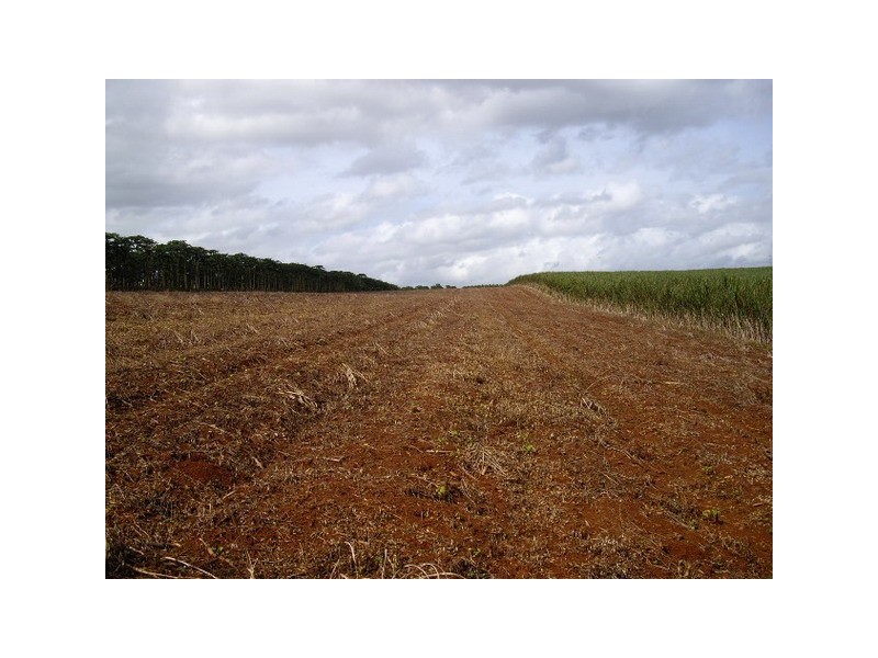 Innisfail QLD 4860