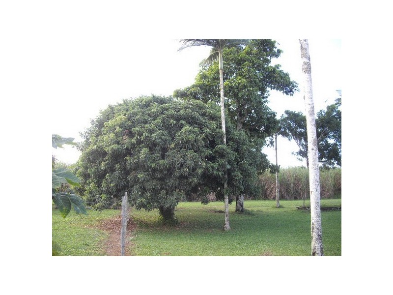 Mundoo QLD 4860