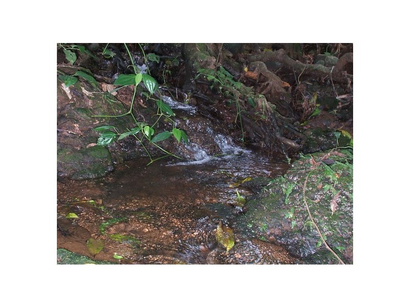 South Johnstone QLD 4859