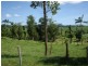 Mena Creek QLD 4871