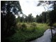 El Arish QLD 4855