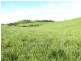Mena Creek QLD 4871