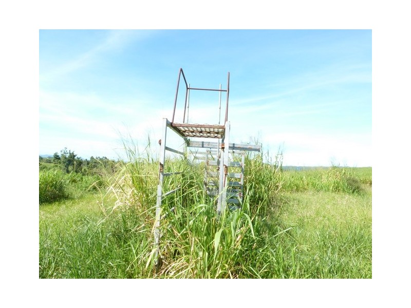 Mena Creek QLD 4871