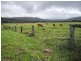 Mossman QLD 4873