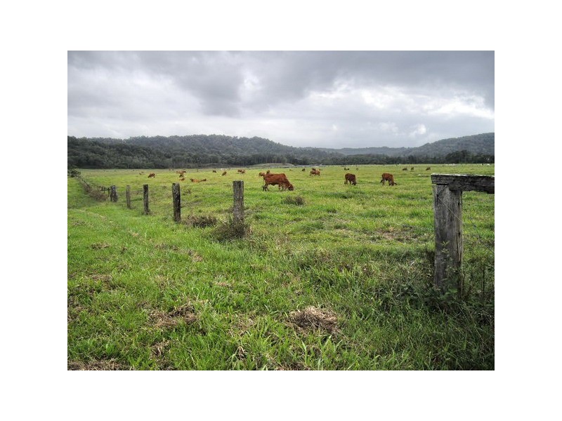 Mossman QLD 4873