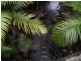 Mossman QLD 4873