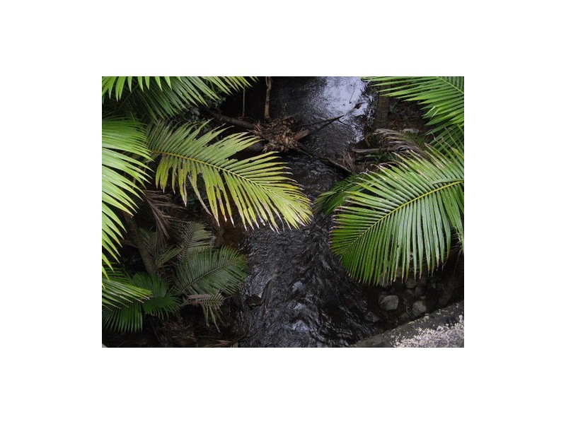 Mossman QLD 4873