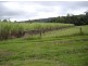 Mossman QLD 4873