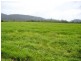 Mourilyan QLD 4858