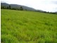 Mourilyan QLD 4858