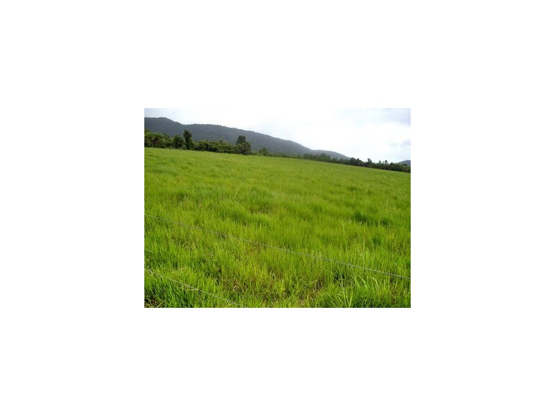Mourilyan QLD 4858