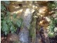 Mena Creek QLD 4871