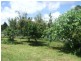 Millaa Millaa QLD 4886