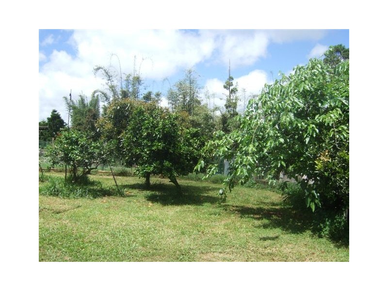 Millaa Millaa QLD 4886